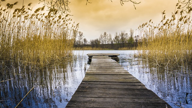 Водоем во сне